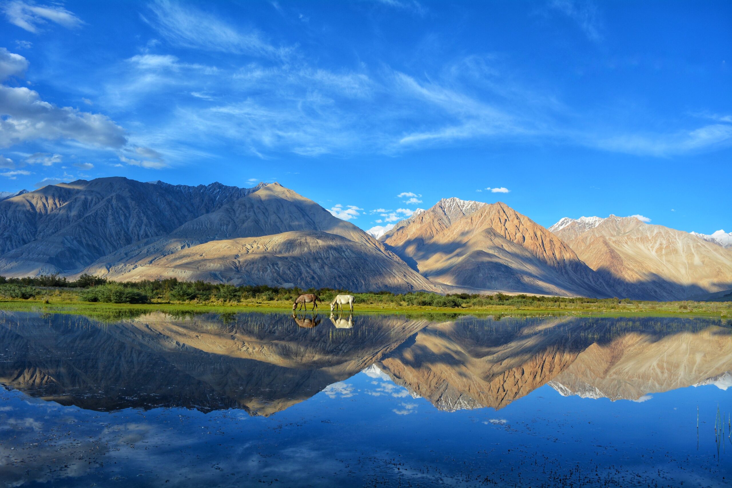 A Breathtaking Journey of Leh Ladakh